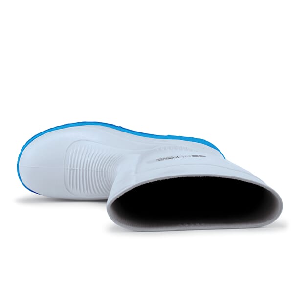 2017B_Rel Guardian white_blue_2017B_1.jpg